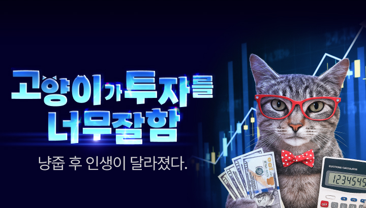 251112_고양이가 투자를 너무 잘