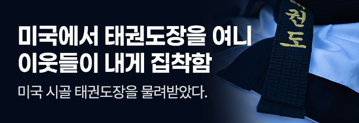 디앤씨미디어(파피루스)_미국에서 태권