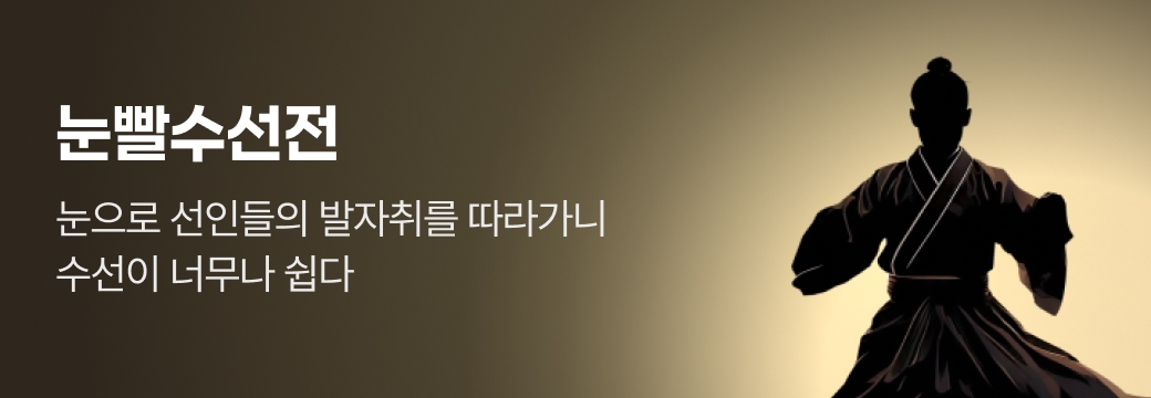문피아_눈빨수선전