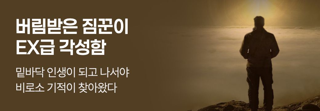 문피아_버림받은 짐꾼이 EX급 각성함