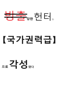 방출당한 헌터는 국가권력급으로 각성했다