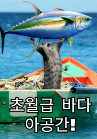 초월급 바다 아공간을 얻었다!