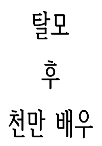 머머리 얼굴 천재 배우가 되었다