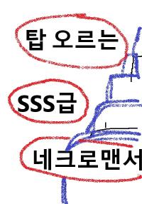 탑 오르는 SSS급 네크로맨서의 표지