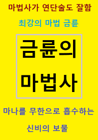 금륜의 마법사의 표지