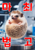 표지