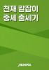 천재 칼잡이 중세 출세기의 표지
