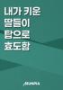 내가 키운 게임 캐릭터와 탑 등반의 표지